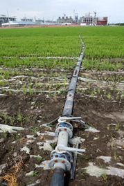 天業大力使用低汞觸媒，敢當中國氯堿行業無汞化的探路先鋒